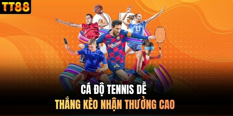 Cá độ tennis dễ thắng kèo nhận thưởng cao