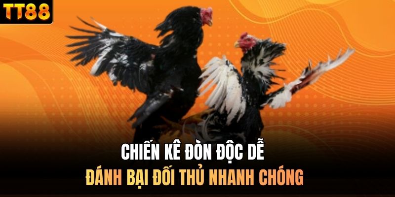 Chiến kê đòn độc dễ đánh bại đối thủ nhanh chóng