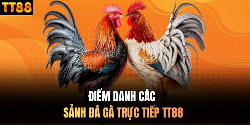 Điểm danh các sảnh đá gà trực tiếp TT88