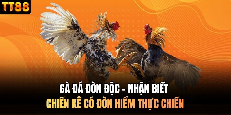 Gà đá đòn độc